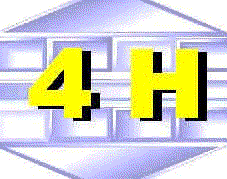 silver4h.gif